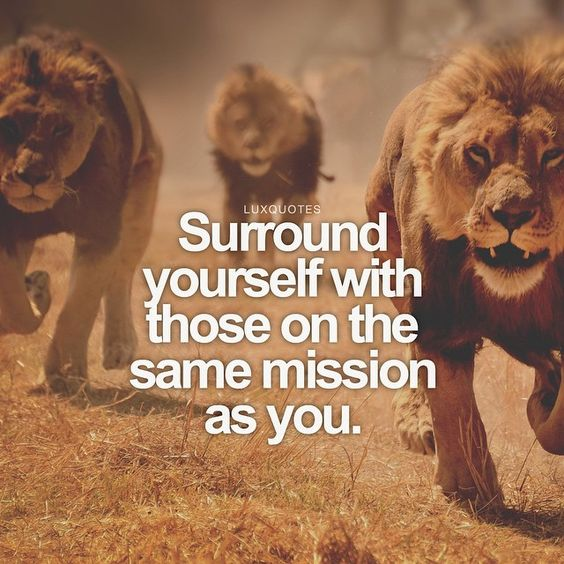 Surround yourself with those on the same mission as you