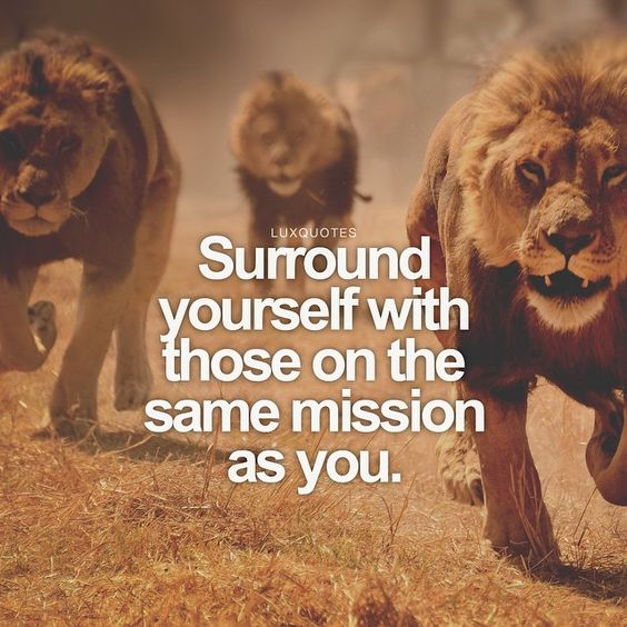 Surround yourself with those on the same mission as you Surround yourself with those on the same mission as you